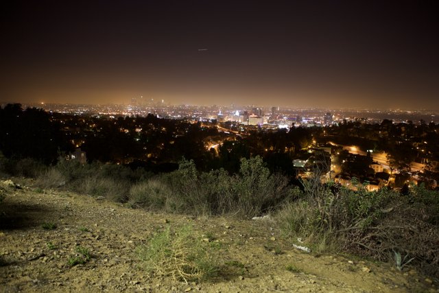 Illuminated Metropolis from Hillside