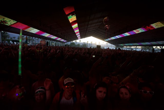 Electric Crowd at Coachella 2012