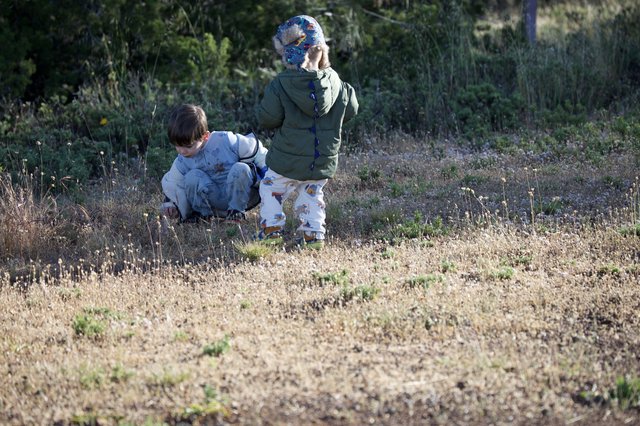 Young Explorers Discovering Nature at Mount Diablo