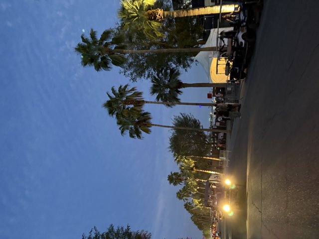 Twilight at Empire Polo Club