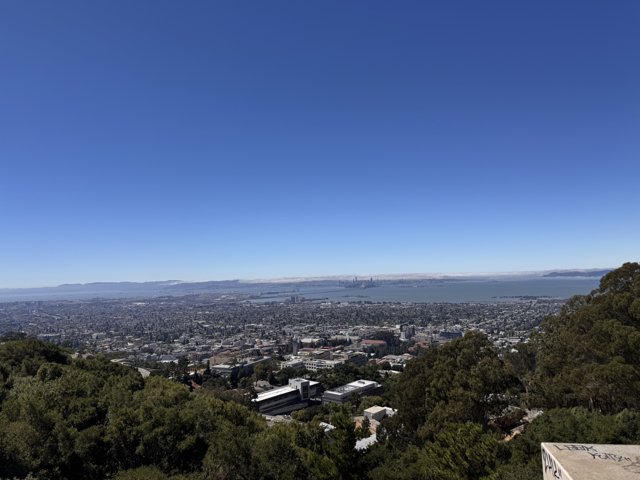 Overlooking the Bay