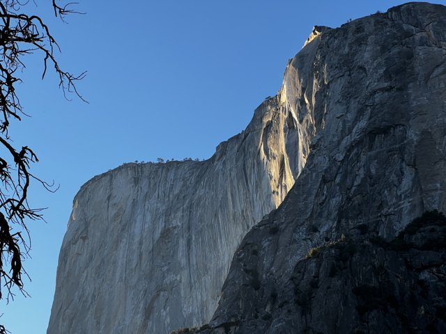 Cliffside Vista in Yosemite