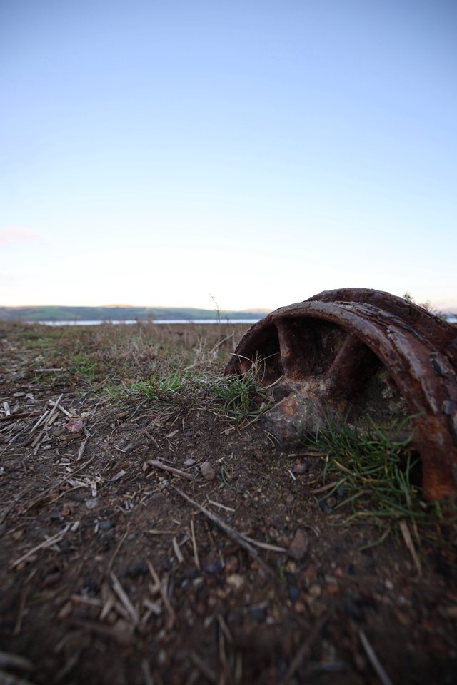 Weathered Horseshoe on Coastal Ground at Dawn