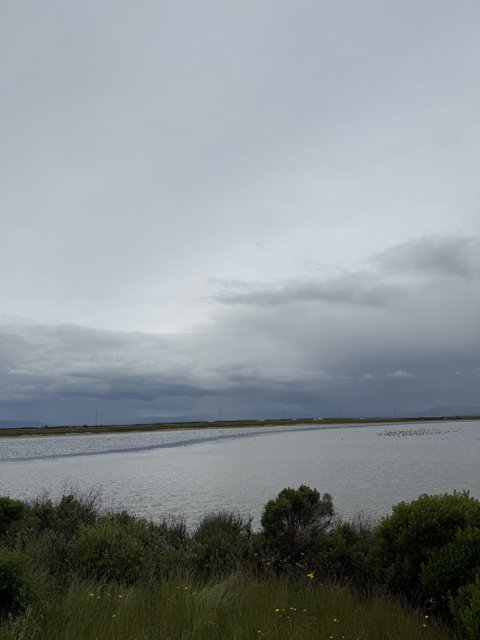 Quiet Reflection Over San Pablo Bay