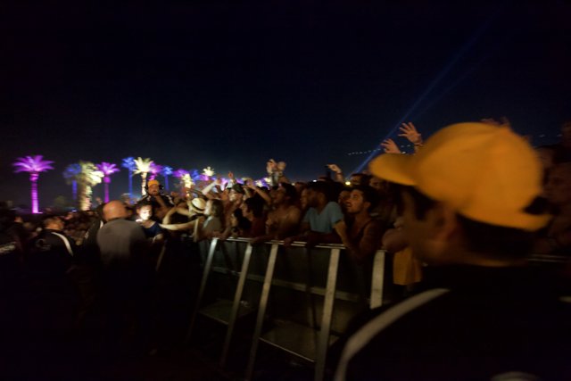 Hands-Up Crowd at Coachella Concert