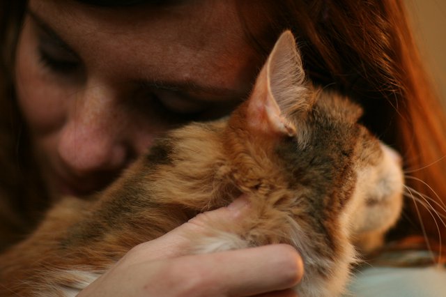 Tender Moment Between Woman and Ginger Cat