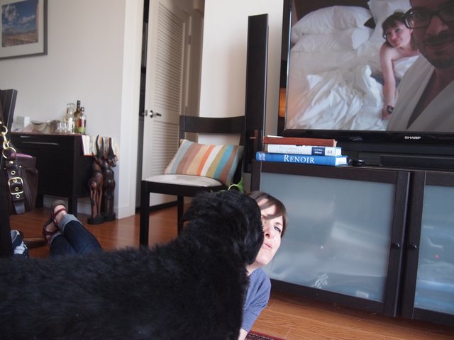 Dog Interrupts Movie Night on Living Room Floor