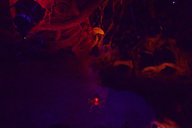 Mystical Night in Disneyland, 2024