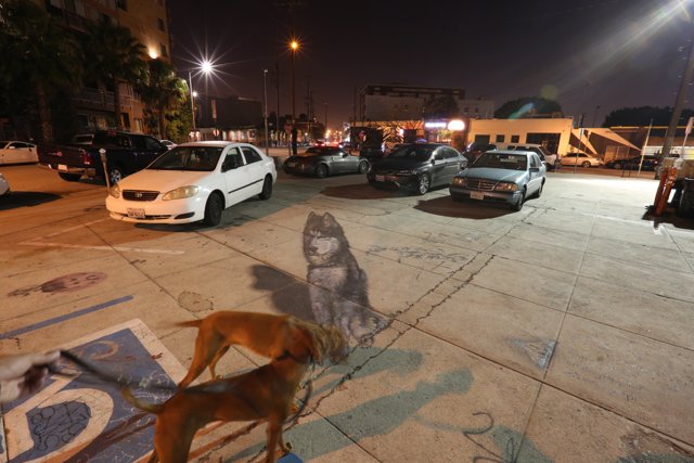 Lone Dog in a Crowded Lot