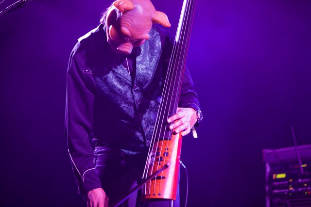 The Bassist in Action