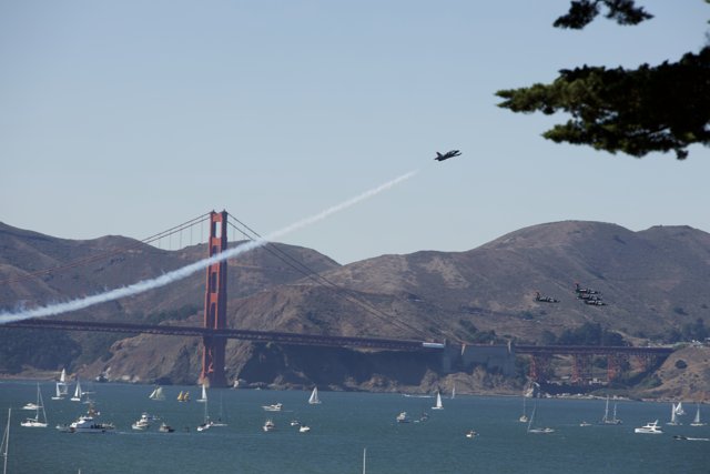 Flight Over San Francisco: A Spectacular Fleet Week Moment