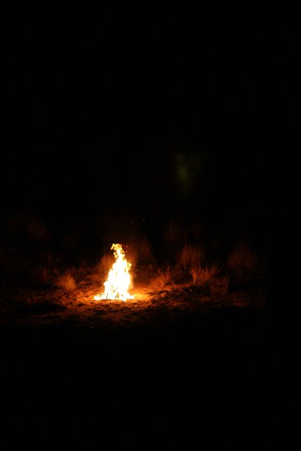 Desert Bonfire