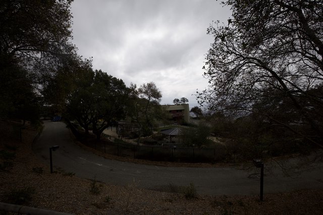 Overcast Suburban Street on a Cloudy Winter Evening
