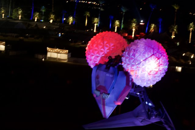 Glowing Flower Balloon