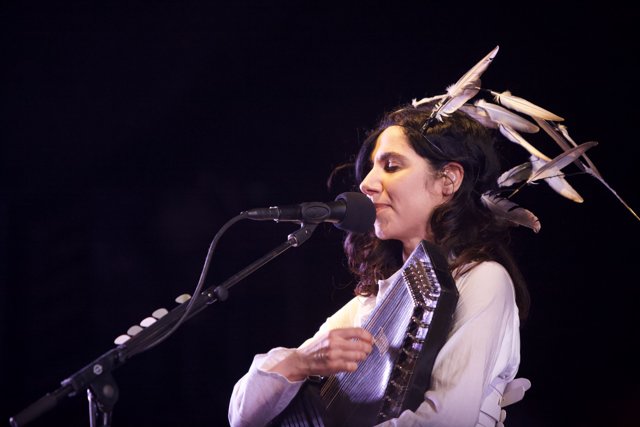 Feathers and Voice: PJ Harvey's Solo Performance