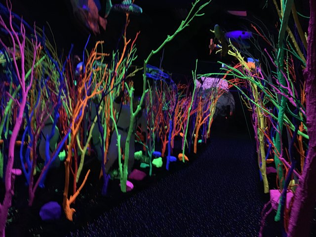 Neon Trees in an Urban Aquarium