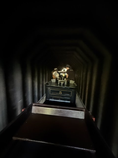 Journey Through Shadows