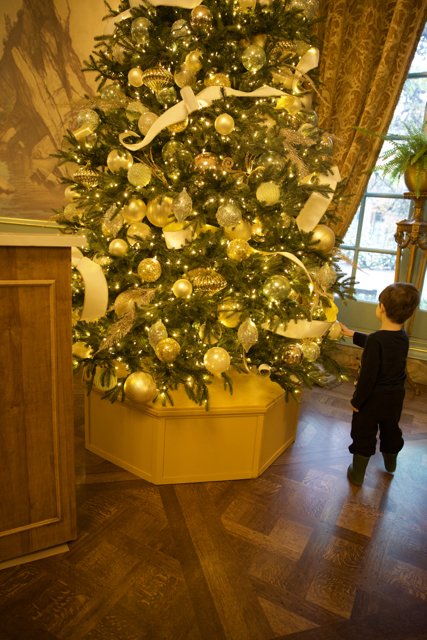 Enchanted by the Christmas Glow