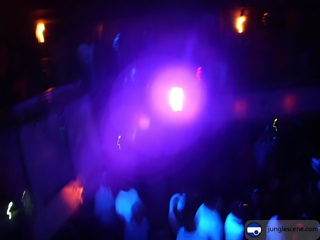 Purple Spotlight on the Nightclub Crowd