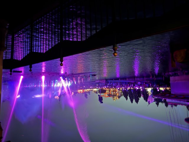 Illuminated Magic: A Night at Disney California Adventure