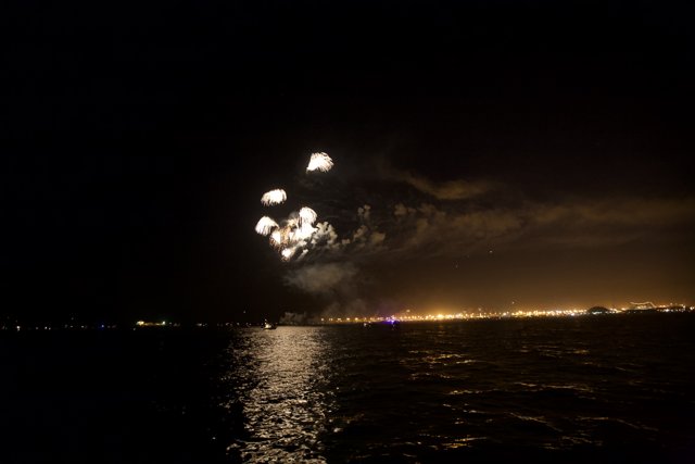 Fireworks Illuminating the Night Sky over the Water