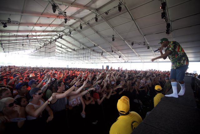 Concert Crowd Enthralled by Yellow-Clad DJ
