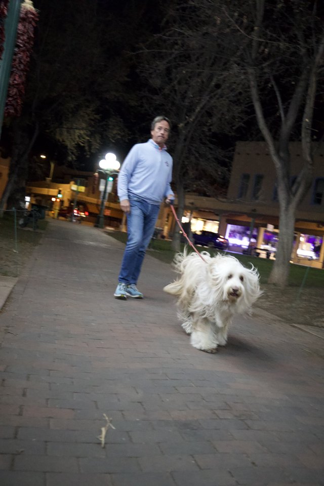 Evening Walk with Fluffy White Dog in Urban Plaza