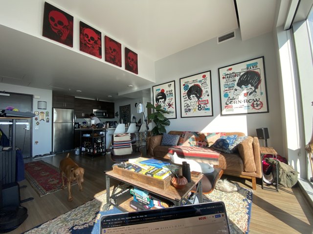 Cozy Living Room with Furry Companion