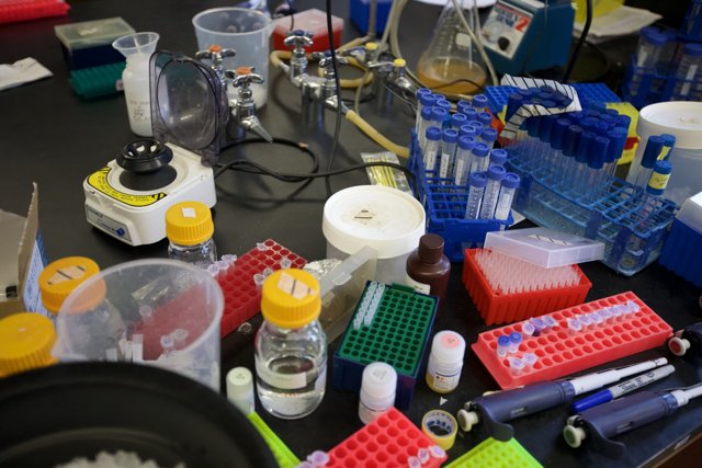 A Busy Laboratory Table