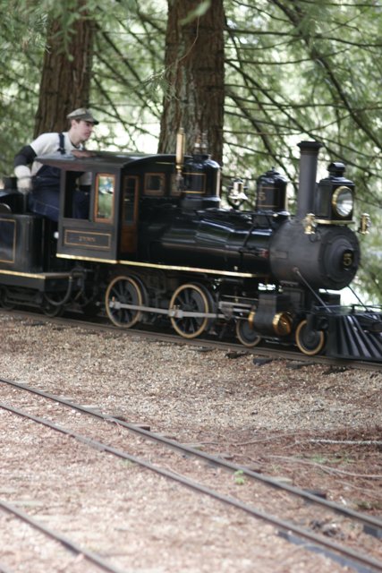 Riding Through the Forest on a Real Locomotive