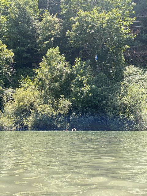 Kite-flying Fun on the Water