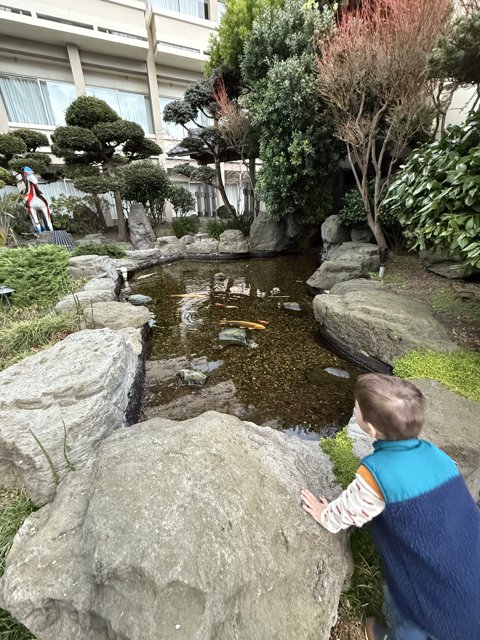 Tranquil Moments at Japan Center Malls