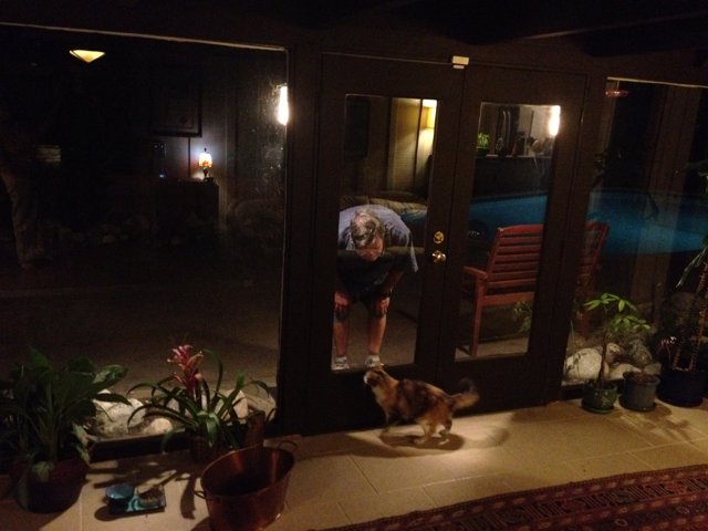 Man and Dog at the Potted Plant Doorway