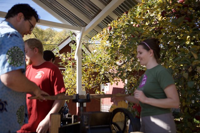 Apple Cider Pressing at the Farm Fall Harvest