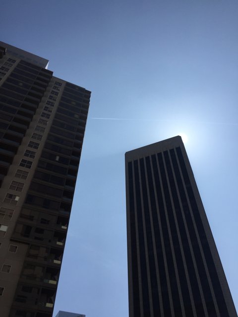 Towering Skyscrapers in Los Angeles
