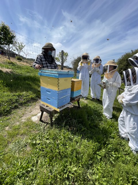 Beekeepers in Protective Suits Amidst Blue Skies and Clouds