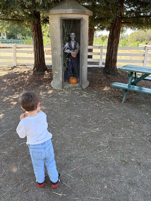 Curious Encounter in the Park