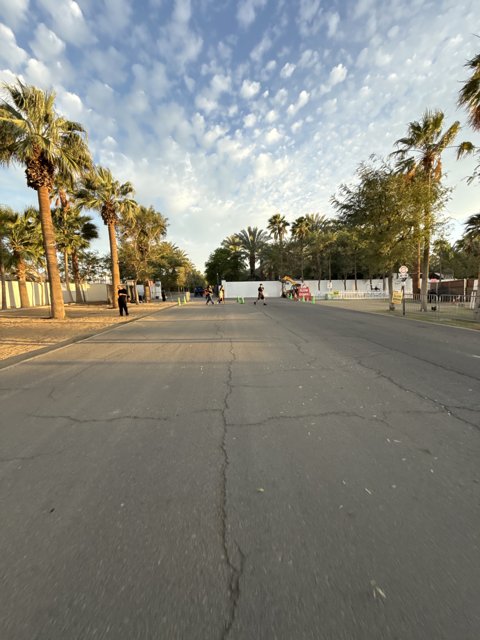 Oasis at Sunset