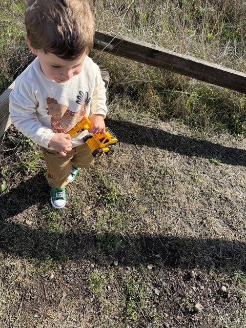 Adventure in the Meadow