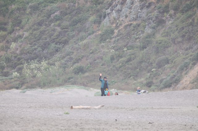 Family Waves Hello on a Misty Rocky Beach