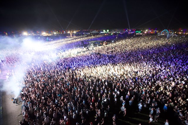 The Electric Crowd at Coachella 2014