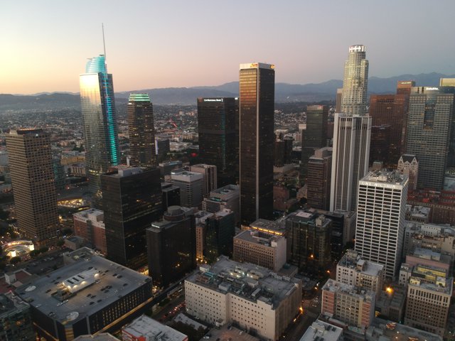 The Metropolis of Los Angeles