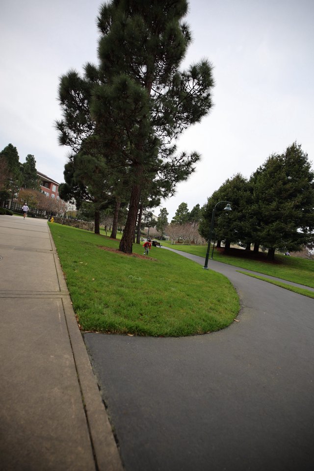 Winding Path Through Skywalker Ranch Campus