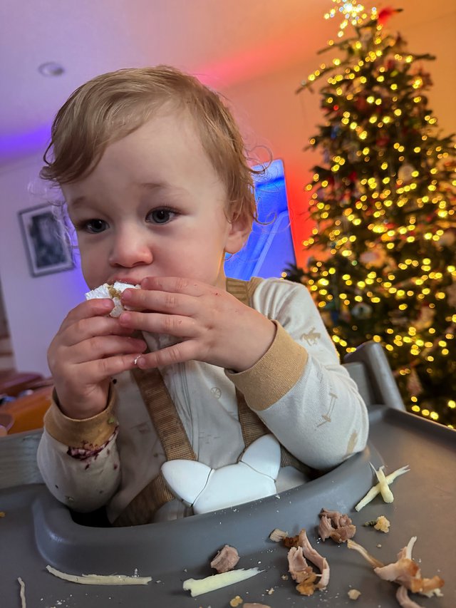 Toddler Enjoying Christmas Treats by Decorated Tree