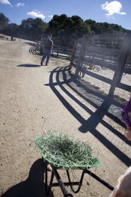 Morning Chores at Carmel Valley Ranch