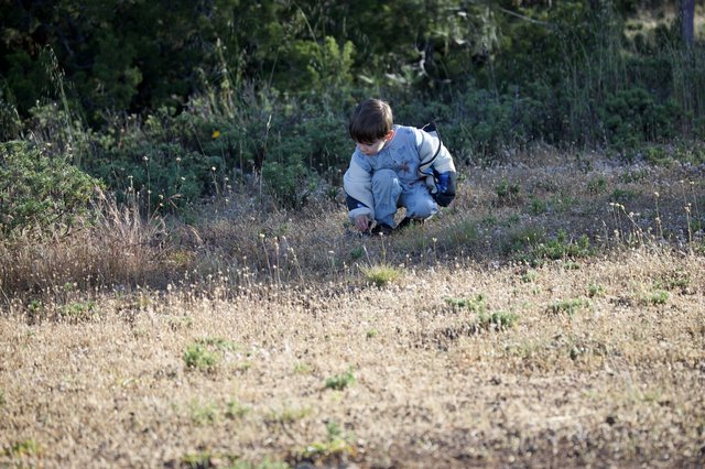 Young Explorer Discovers Nature at Mount Diablo