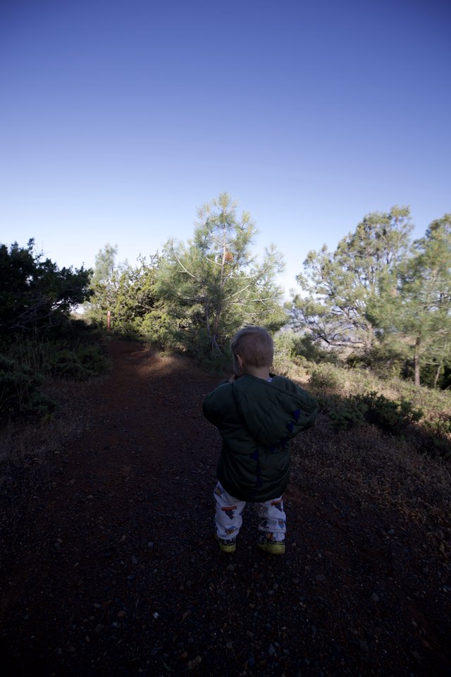 Young Explorer on a Sunlit Mountain Trail
