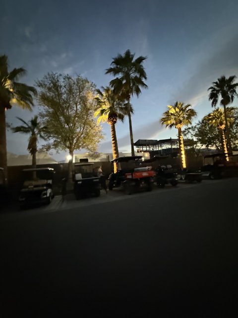 Evening Silhouettes at Empire Polo Club