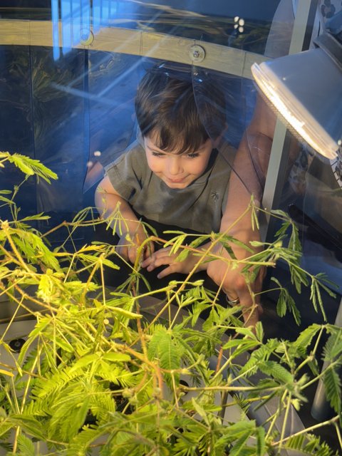 Nature's Wonder Through Young Eyes
