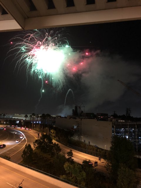 City of Lights: Fireworks Illuminate the Night Sky